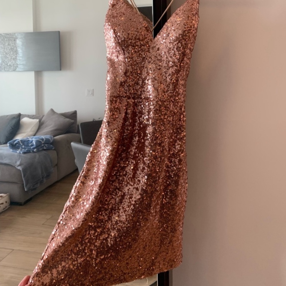 New With Tags Hello Molly FASHION CAPITAL DRESS BRONZE/ROSE GOLD